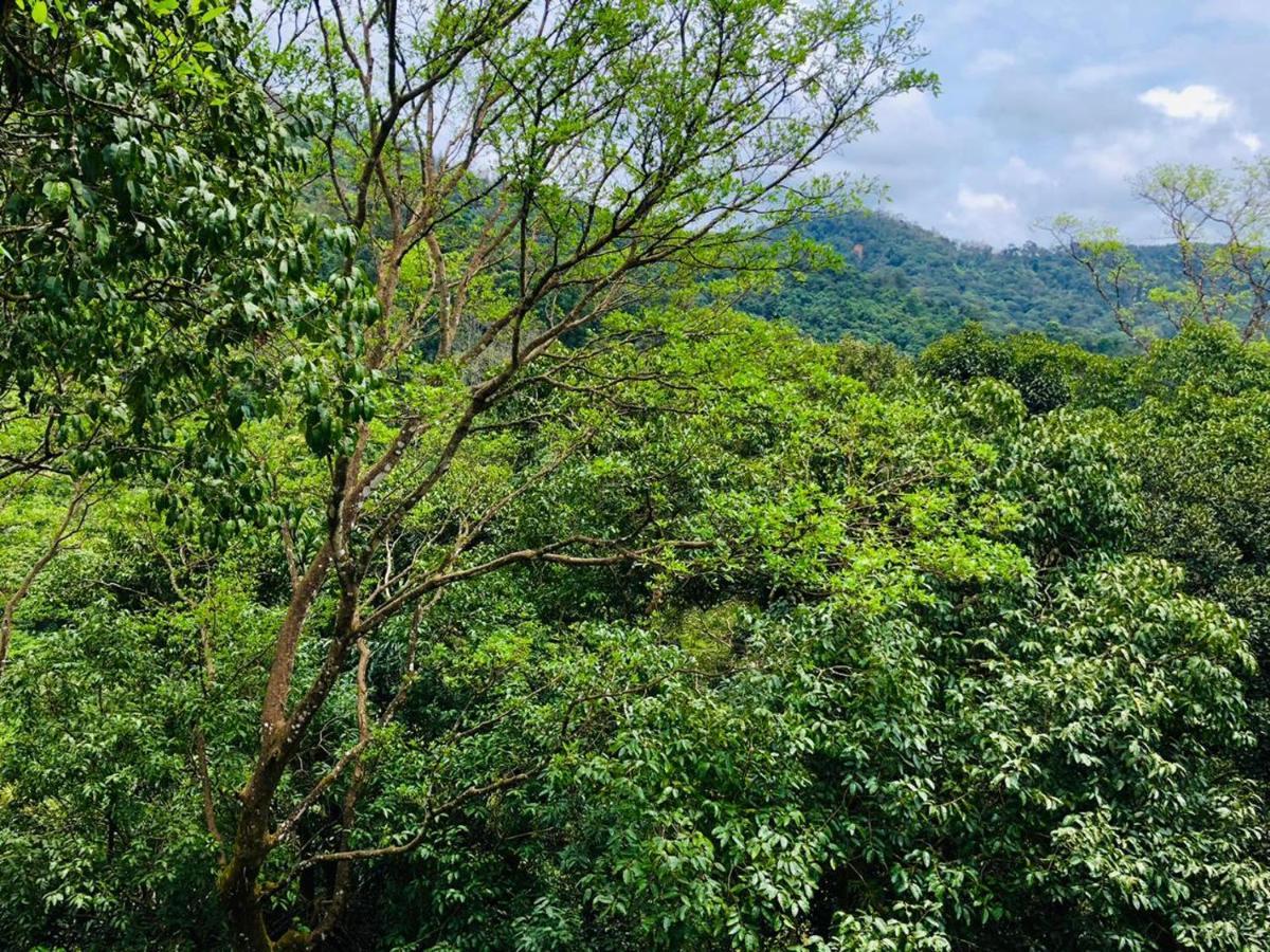 Coorg Wilderness Resort & Spa マディケーリ エクステリア 写真